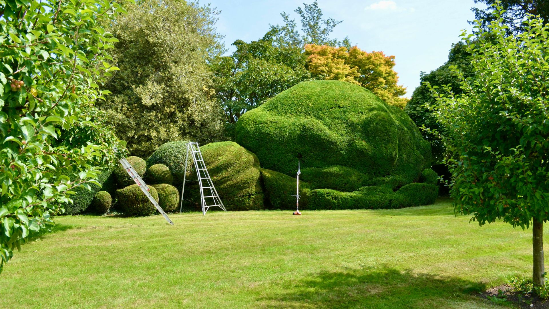 Jardin résidentiel entretenu par RD Garden